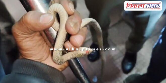Snake enters daypdaya express train compartment in kota News