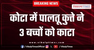 Street Dogs Kota city news 10 Jan 26