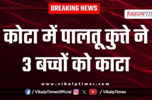 Street Dogs Kota city news 10 Jan 26