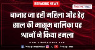 Street Dogs woman girl child sawai madhopur news 19 Jan 26