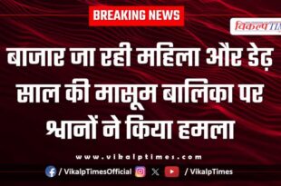 Street Dogs woman girl child sawai madhopur news 19 Jan 26