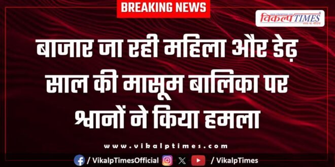 Street Dogs woman girl child sawai madhopur news 19 Jan 26