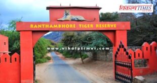 Use of mobile phones is prohibited during safari in Ranthambore National Park