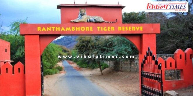 Use of mobile phones is prohibited during safari in Ranthambore National Park