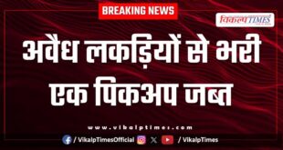 Wood Transporation pickup forest Malarna Dungar Sawai Madhopur news 08 Jan 26