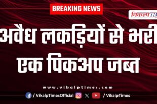 Wood Transporation pickup forest Malarna Dungar Sawai Madhopur news 08 Jan 26