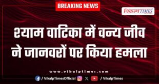 Forest Jungle Wilflife animal Sawai Madhopur news 06 Feb 26