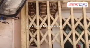 Python gate electricity department Kota thermal plant News 09 Feb 26