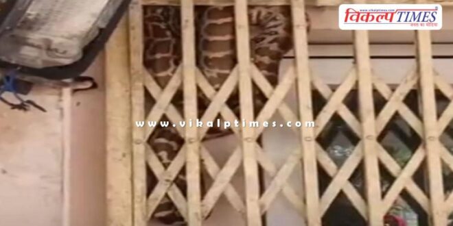 Python gate electricity department Kota thermal plant News 09 Feb 26