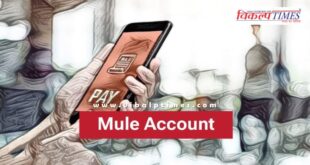 Soorwal Police Sawai Madhopur News 01 Feb 26