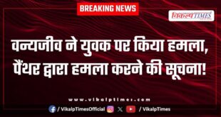 Wildlife Panther ranthambore forest jungle sawai madhopur news 05 Feb 26