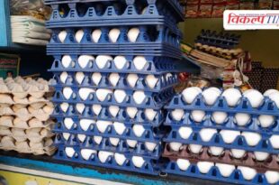 Big change from April 1 Expiry date will now be written on every egg in uttar pradesh