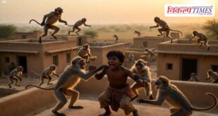 Monkeys wreak havoc in Todra sawai madhopur