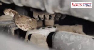 Snake bike seat young man kota news 10 March 26