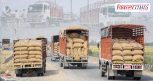 Government wheat worth 5.3 million rupees sold in Jaipur