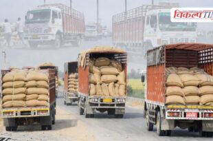 Government wheat worth 5.3 million rupees sold in Jaipur