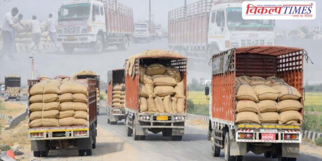 Government wheat worth 5.3 million rupees sold in Jaipur