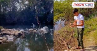 Instagram reel viral crocodile kota city news 13 April 2026