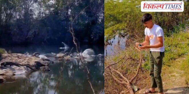 Instagram reel viral crocodile kota city news 13 April 2026