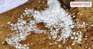 Storm and hailstorm ruined the farmers hopes in sawai madhopur