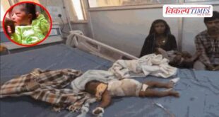 Stray dogs baby hospital Ajmer Rajasthan News 28 April 26