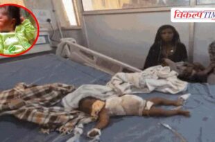 Stray dogs baby hospital Ajmer Rajasthan News 28 April 26