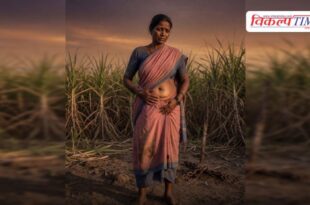 uterus removed 843 women sugarcane harvesting 477 aged 30 35 Beed Maharashtra News