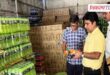 13,000 litres of energy drink seized in Sawai Madhopur