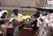 Chambal River buffalo Crocodile girl dholpur news 20 May 26