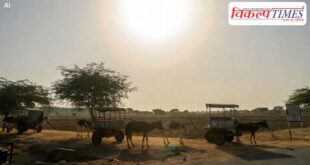 Prohibition on using animals for work during the hot summer months from 12 noon to 3 pm