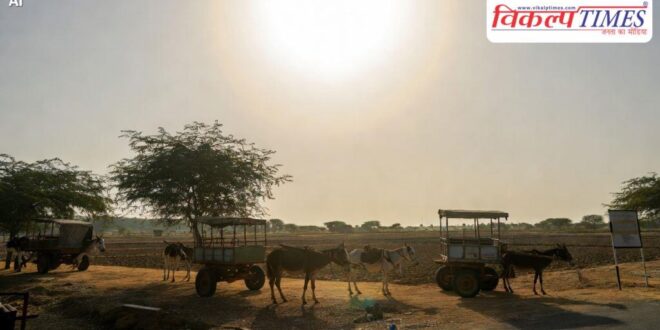 Prohibition on using animals for work during the hot summer months from 12 noon to 3 pm