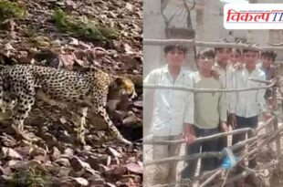 The leopard from MP has created panic in Sawai Madhopur