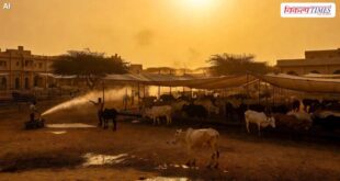 Advisory issued for cow shelters to protect them from rising heat and heat wave in sawai madhopur Vikalp Times