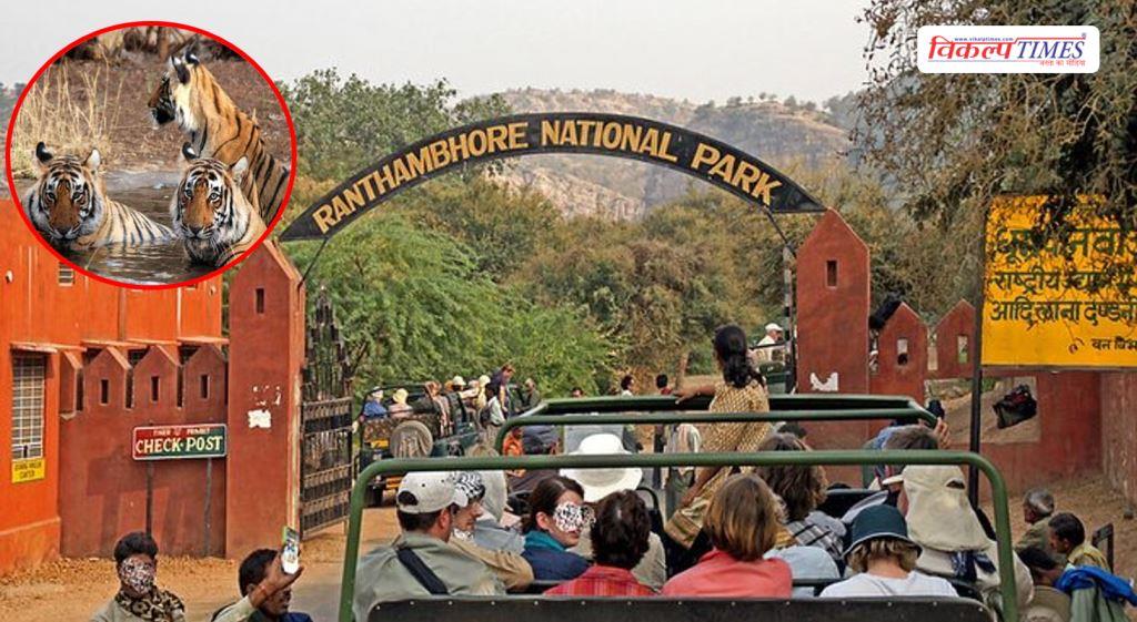 Last chance today 5 zones of Ranthambore national park will close from July 1st Sawai Madhopur Vikalp Times