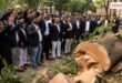 Lawyers strongly opposed the felling of trees in front of the court Sawai Madhopur Vikalp Times
