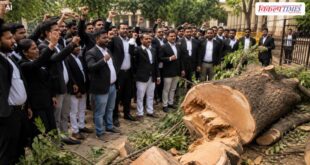 Lawyers strongly opposed the felling of trees in front of the court Sawai Madhopur Vikalp Times