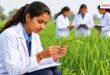 Government of Rajasthan will provide financial assistance of up to 40,000 rupess to female students pursuing agricultural studies vikalp times
