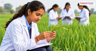 Government of Rajasthan will provide financial assistance of up to 40,000 rupess to female students pursuing agricultural studies vikalp times