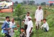 World Tribal Day 2026 A Message of Environment and Education Sawai Madhopur Gangapur City Vikalp Times